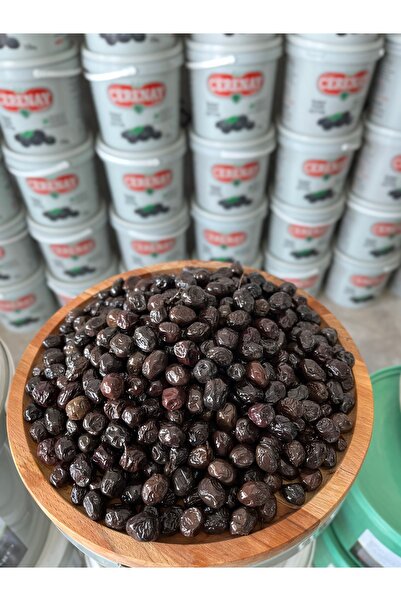 CERENAY ZEYTİNCİLİK Az Tuzlu Gemlik Yağlı Sele Sofralık Siyah Zeytin 291-320 ...