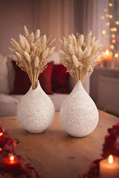 EVROSİ İkili Damla Kuru bitki Vazo Seti ( Bitkiler Dahil Değildir)