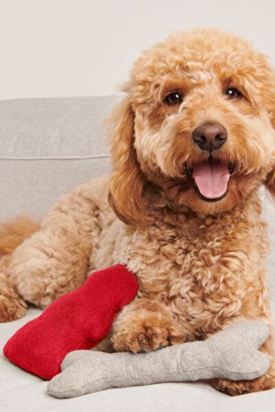 Tchibo مجموعة ألعاب الكلاب مكونة من قطعتين، كريمي/أحمر