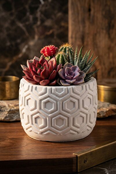 Evene Mini Çiçek Saksı Küçük Sukulent Beyaz Kaktüs Saksısı Model 2
