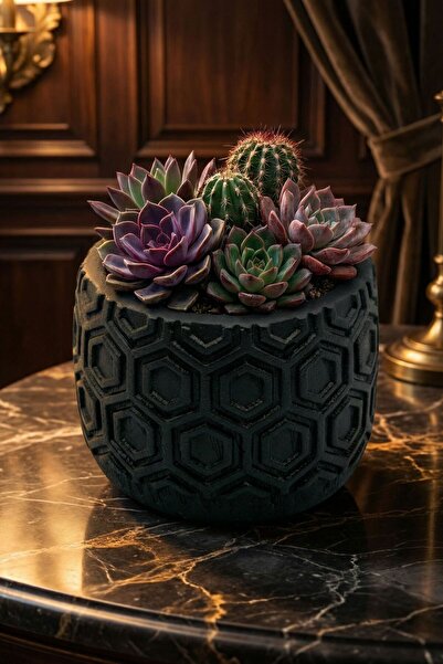 Evene Saksı Dekoratif Saksı Kaktüs Saksısı Sukulent Saksısı Küçük Saksı Model...