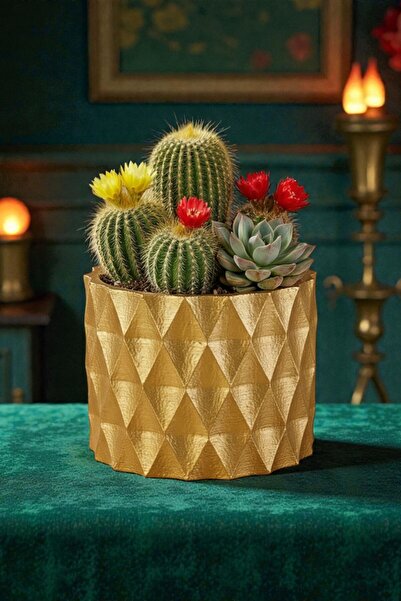 Evene Saksı Dekoratif Saksı Kaktüs Saksısı Sukulent Saksısı Küçük Saksı Model...