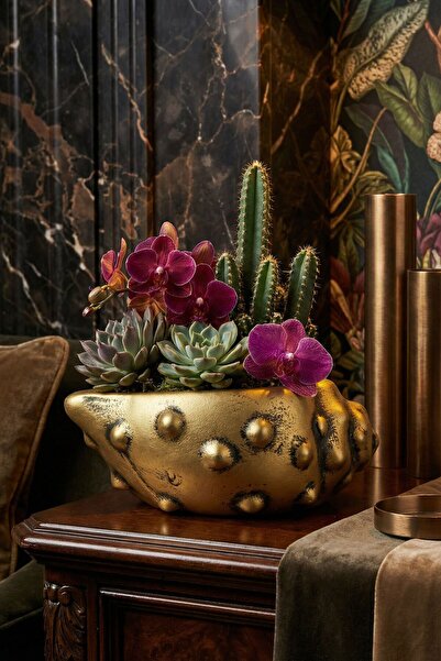 Evene Saksı Dekoratif Saksı Kaktüs Saksısı Sukulent Saksısı Küçük Saksı Model...