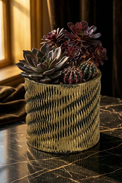 Evene Saksı Dekoratif Saksı Kaktüs Saksısı Sukulent Saksısı Küçük Saksı Model...