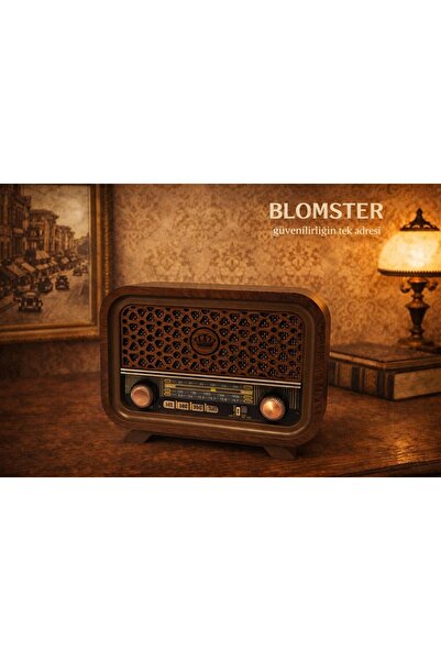 BLOMSTER Everton yüksek ses kaliteli Bluetooth Nostajık Radyo Müzik çalar