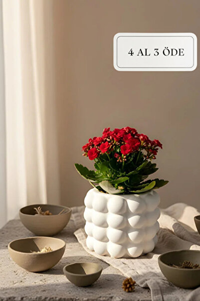 Genel Markalar Beton Dekoratif Bohem Orta Boy Saksı – İskandinav Tasarım 12 x 12