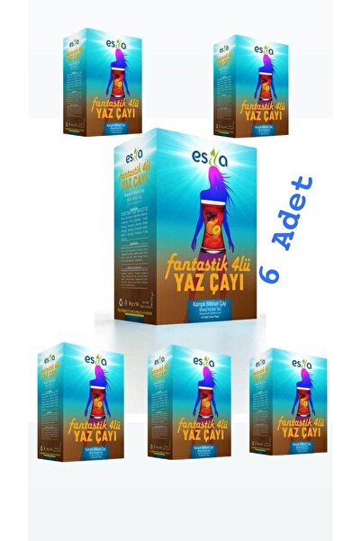 ESİLA Fantastik Dörtlü 4’lü Yaz Çayı 45’li 135 Süzen Poşet 6 Paket Hacıoğlu B...