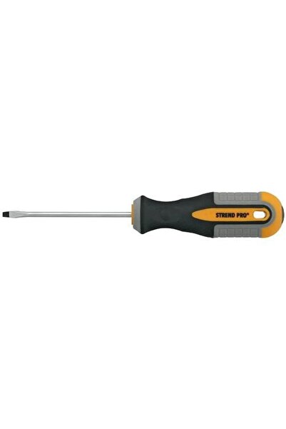 Strend Pro Straight screwdriver, 4x100 mm,