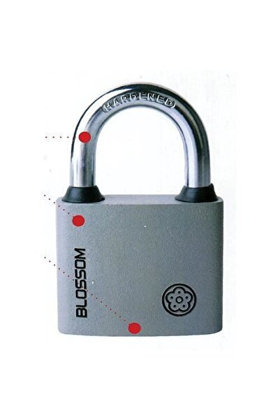 Strend Pro Lacăt BLOSSOM, oțel, 32 mm, Strend Pro