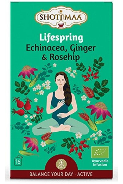 Shotimaa Ceai pentru echilibrarea zilei - Lifespring - Echinacea, Ghimbir și ...