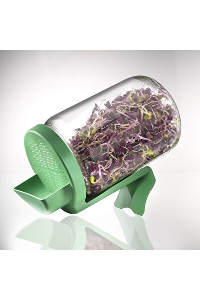 JollyMag Germinator tip borcan cu protectie Germline