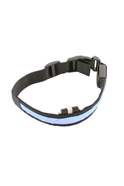 JollyMag Zgarda iluminata cu LED pentru caine sau pisica, culoare Albastra, A...