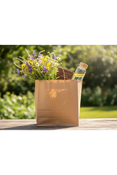 NB ENDÜSTRİYEL Burgu Saplı Kraft Çanta 21cmx8cmx24cm (15 Adet Kağıt Poşet Çanta)