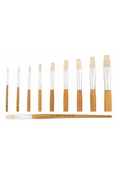 Erka فرشاة طلاء زيتية من سودور 258 14 عبوة من 12 قطعة