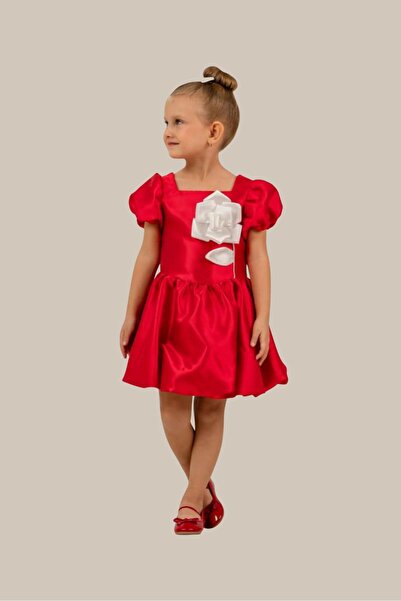 Eray Kids Κοριτσίστικο σατέν φουσκωτό φόρεμα για γάμο, γενέθλια, ειδική περίσ...