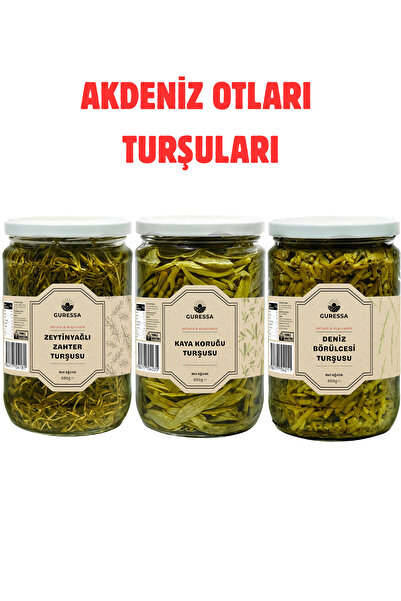 GURESSA Akdeniz Otları Turşuları Deniz Börülcesi Kaya Koruğu Zeytinyağlı Zaht...