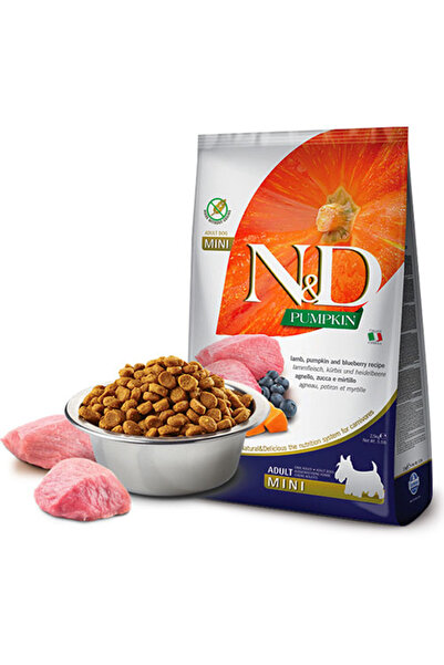 N&D Pumpkin Tahılsız Kuzu Küçük Irk Yetişkin Köpek Maması 2,5 Kg