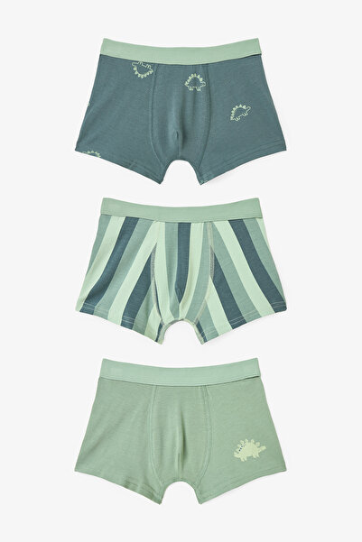 Penti Erkek Çocuk Contour Dino Dinozor Desenli 3'lü Boxer