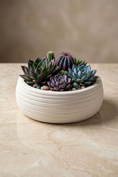 Evene Saksı Büyük Saksı Çiçek Saksısı Büyük Boy Saksı Salon Saksısı Model 4 B...