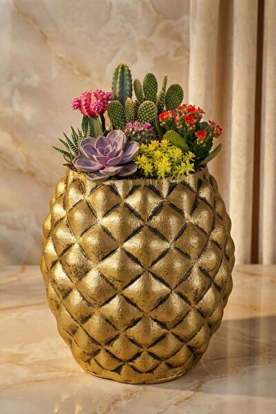 Evene Saksı Büyük Saksı Çiçek Saksısı Büyük Boy Saksı Salon Saksısı Model 12 ...