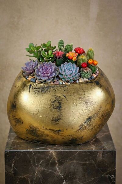 Evene Saksı Büyük Saksı Çiçek Saksısı Büyük Boy Saksı Salon Saksısı Model 14 ...