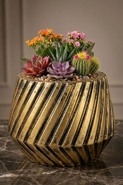 Evene Saksı Büyük Saksı Çiçek Saksısı Büyük Boy Saksı Salon Saksısı Model 6 A...