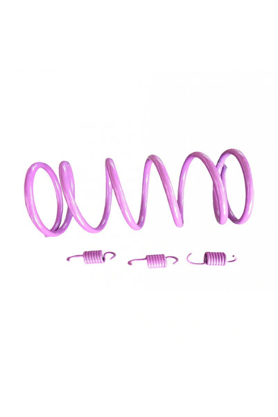 SpeedUp Speed Up Honda Bally 50 Uyumlu Arka Varyatör Yayı (1500 RPM)