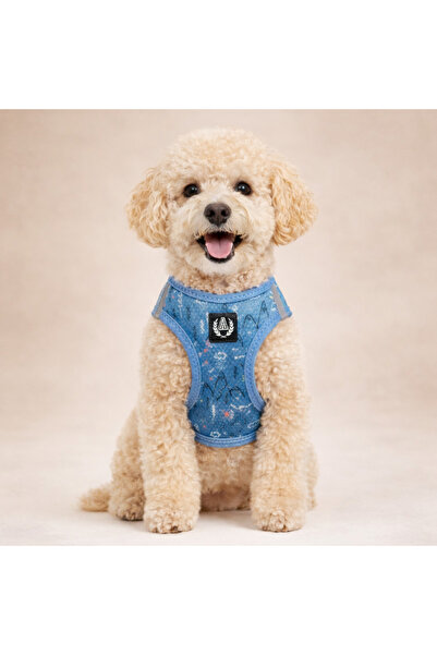 Alphadog خطوط طوق الصدر شبكة الهواء