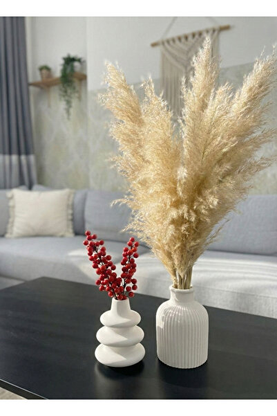 Nova Deco مجموعة من 2 مزهرية على الطراز الاسكندنافي البوهيمي مقاس 10 سم هدية ...