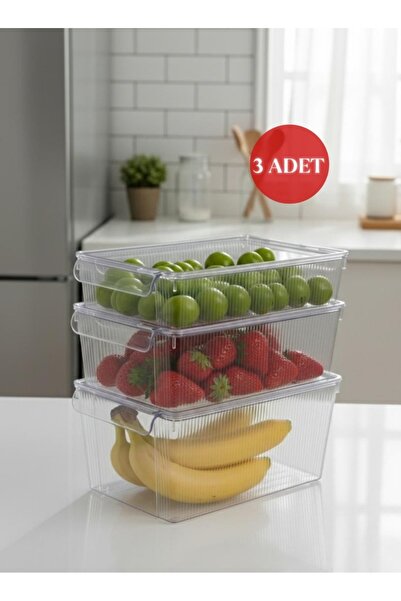 Okyanus Home 3 Boy Kapaklı Şeffaf Buzdolabı Organizeri ve Saklama Kabı 3'lü 3...