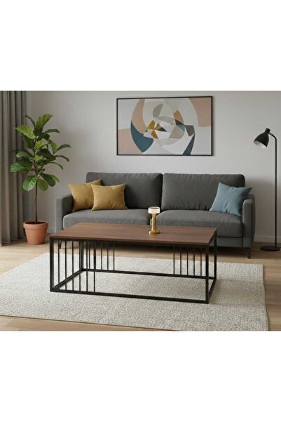 TrentonGCC طاولة قهوة مستطيلة بإطار معدني