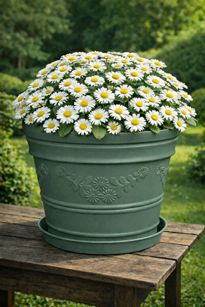 Melkan Home Papatya Desenli Dekoratif Yeşil Saksı 12 Litre – Dayanıklı Çiçek ...