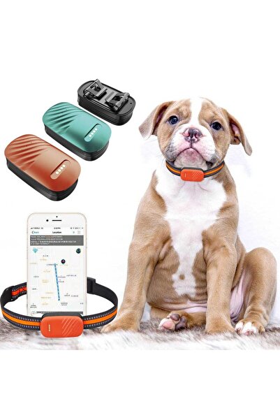 Taggo 4G GPS Tracker for Animals, Waterproof, Real-Time Location for Dogs and...