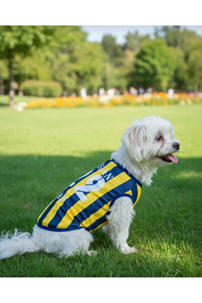 Onyx İSİM YAZDIRILABİLEN kedi ve köpek forması