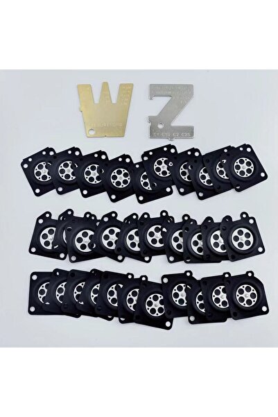 Choice 32pcs 95-526 - A015006 - A015019 Metering Diaphragm Assembly for WA WT...