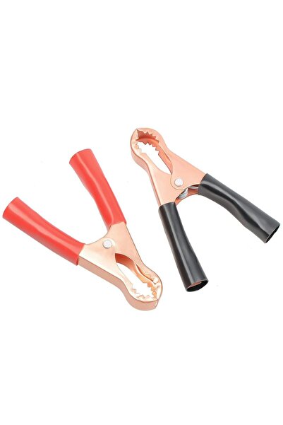 Choice قطعتان من مشابك اختبار بطاريات السيارات والشاحنات الكهربائية، حمراء وس...