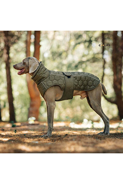 Polar Paw Köpek Yeleği
