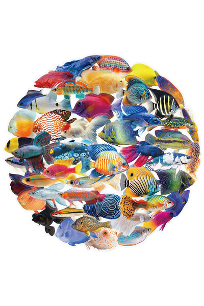 Choice 50PCS 50 Pcs Transparent Fish Stickers - Waterproof Decor for Phone Ca...