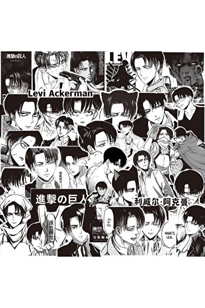 BANDAI ٦٥ قطعة من ملصقات ليفي أكرمان من أنمي هجوم العمالقة، مناسبة لأجهزة الك...