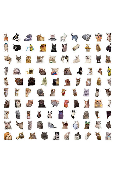 Choice ١٠٠ قطعة من ملصقات القطط اللطيفة والمضحكة، ملصقات كرتونية للأكواب، الق...