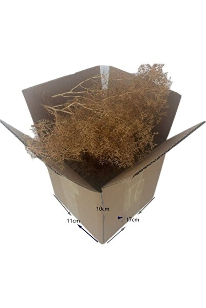 Choice1 شجرة مصغرة صفراء اللون مصنوعة من الفوم، أشجار بحرية، مناسبة لنماذج ال...