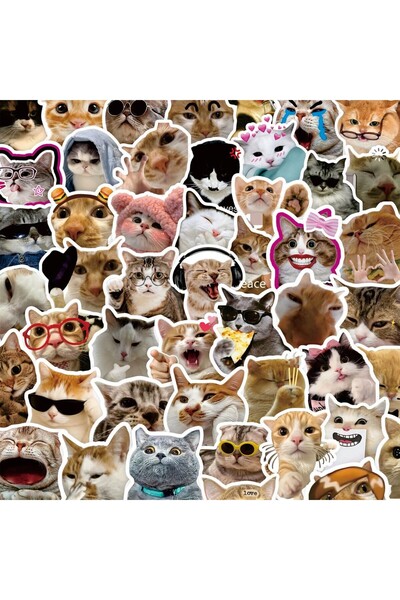 Choice ١٠٠ قطعة من ملصقات إيموجي القطط اللطيفة والمضحكة - لتزيين المذكرات/الد...