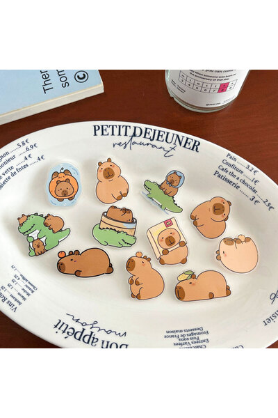 Choice 11 قطعة من دبابيس الكابيبارا، هدايا للحفلات، لوازم احتفالية، شارات حيو...