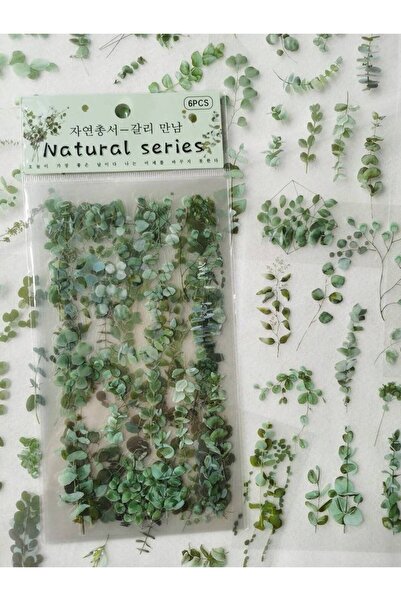 Choice عبوة واحدة من ملصقات زخرفية مقاومة للماء مصنوعة من مادة PVC على شكل نب...