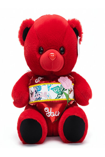 AKDC دب أحمر كلاسيكي (30 سم) مع عبارة "أحبك"