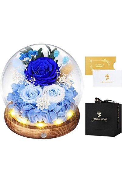 Generic Eternal Roses in Glass Dome with LED Light