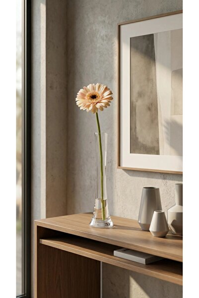 Candle Vase Modern Şık Cam Vazo 30 cm - Dekoratif Tek Dal Çiçek Vazosu-Fil Ay...