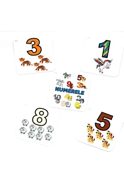OEM Set of 10 Number Cards on Ring