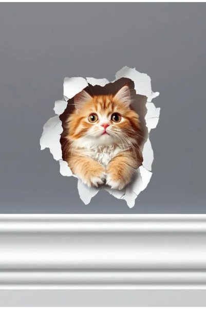 Sim Tasarım - Priz03 - Sarman Kedicik Kırık Duvar Yavru Kedi Dekoratif Priz Duvar Sticker