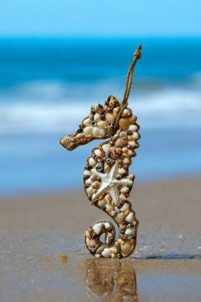 MaviMarinUrla El Yapımı Ahşap DenizAtı Duvar Dekoru Deniz Yıldızlı Doğal Deni...